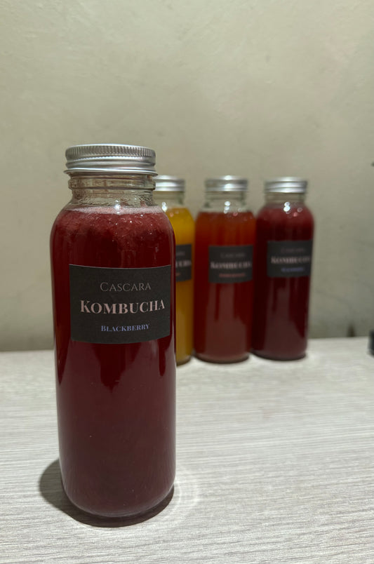 Kombucha - Blackberry